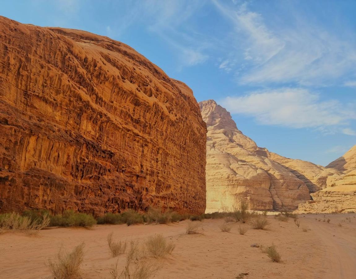 Hotel Desert Knights Camp Wadi Rum Zewnętrze zdjęcie