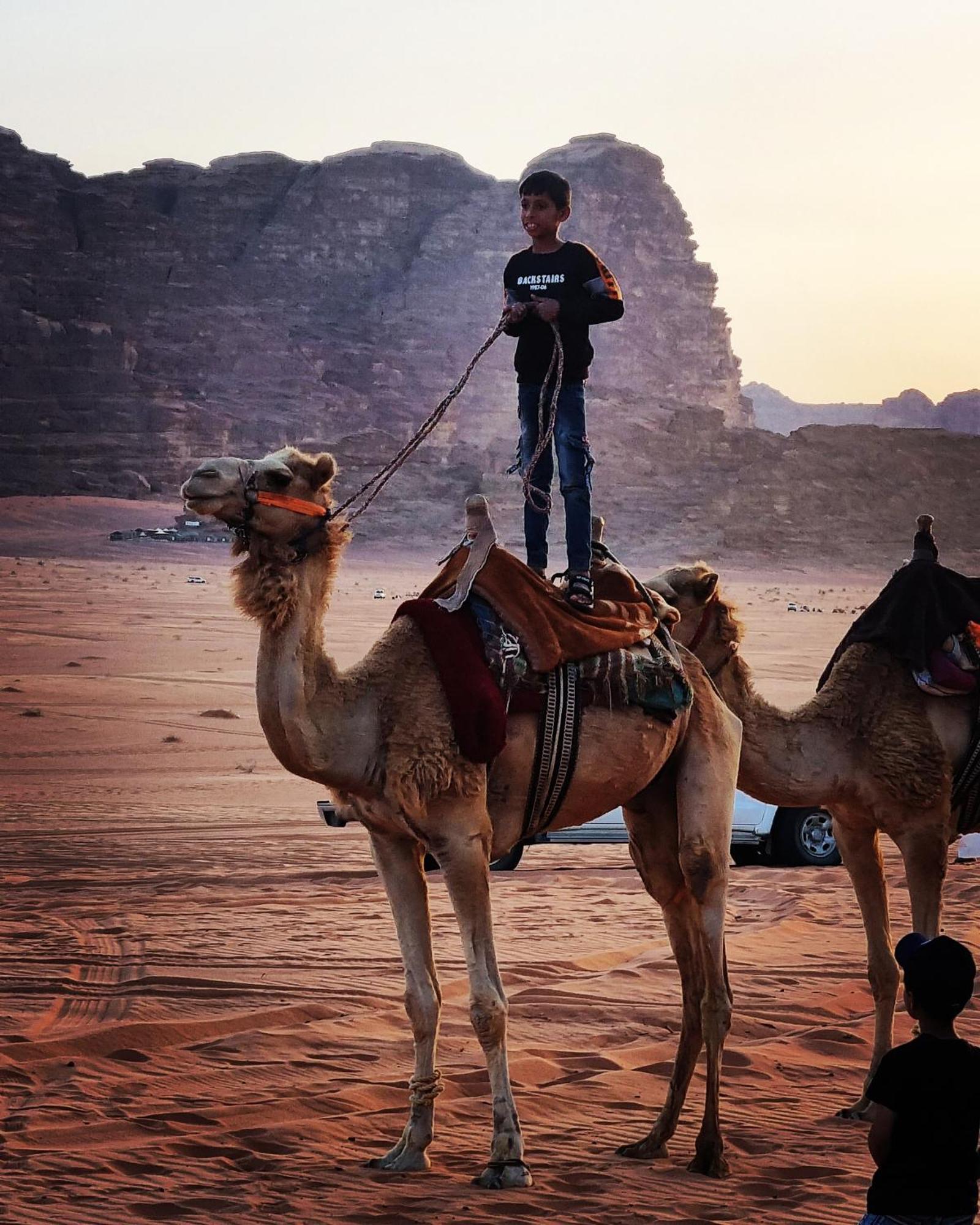 Hotel Desert Knights Camp Wadi Rum Zewnętrze zdjęcie